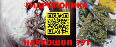 крисы Мариинск
