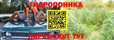 крисы Мариинск