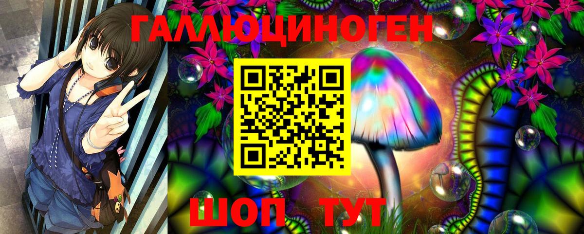 Псилоцибиновые грибы мицелий Верхняя Салда