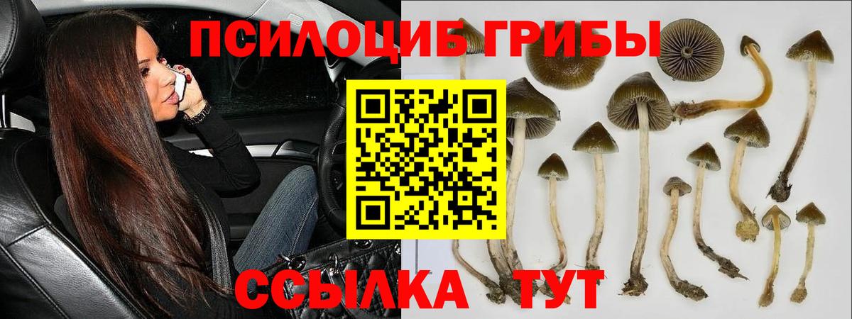 как найти закладки  Вход с VPN  Верхняя Салда  Псилоцибиновые грибы MAGIC MUSHROOMS 